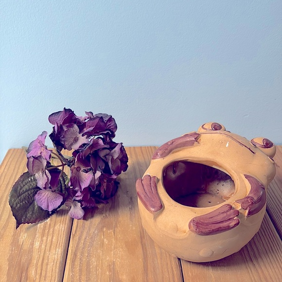 Cute Frog Hand-painted Planter Garden Home Decor Adorable Brown Pot Flower Vase! - Picture 1 of 10